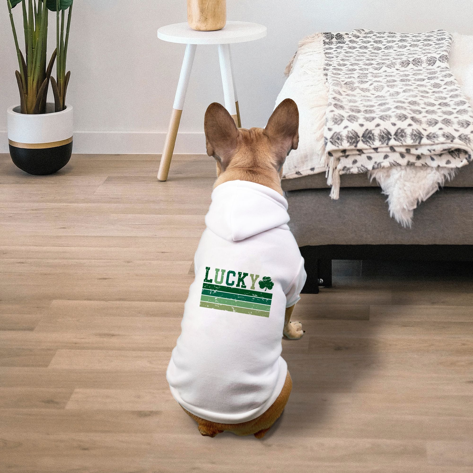 Lucky Retro Pet Hoodie -  Small Breed