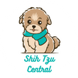 Shih Tzu Central