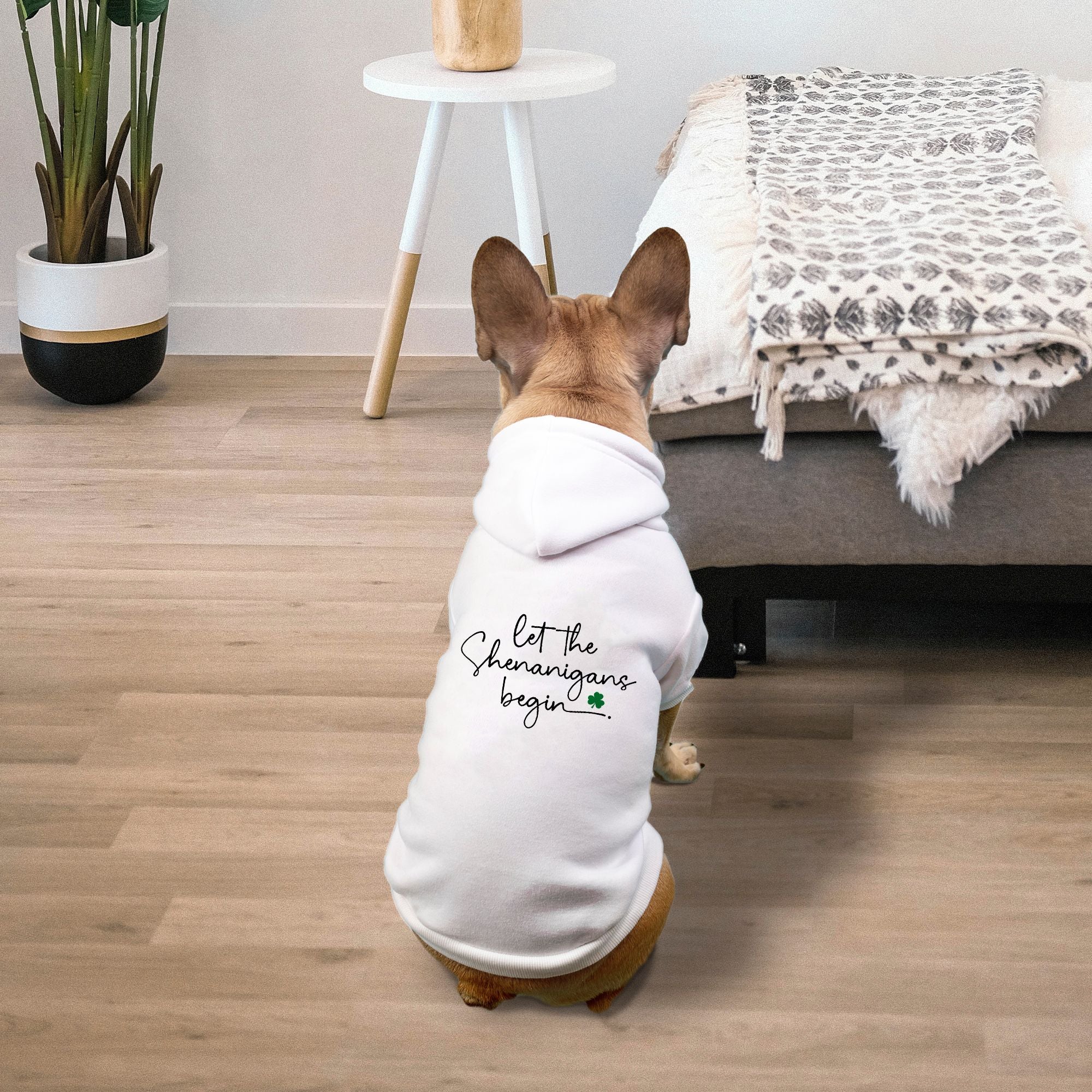 Let the Shenanigans Begin Pet Hoodie -  Small Breed