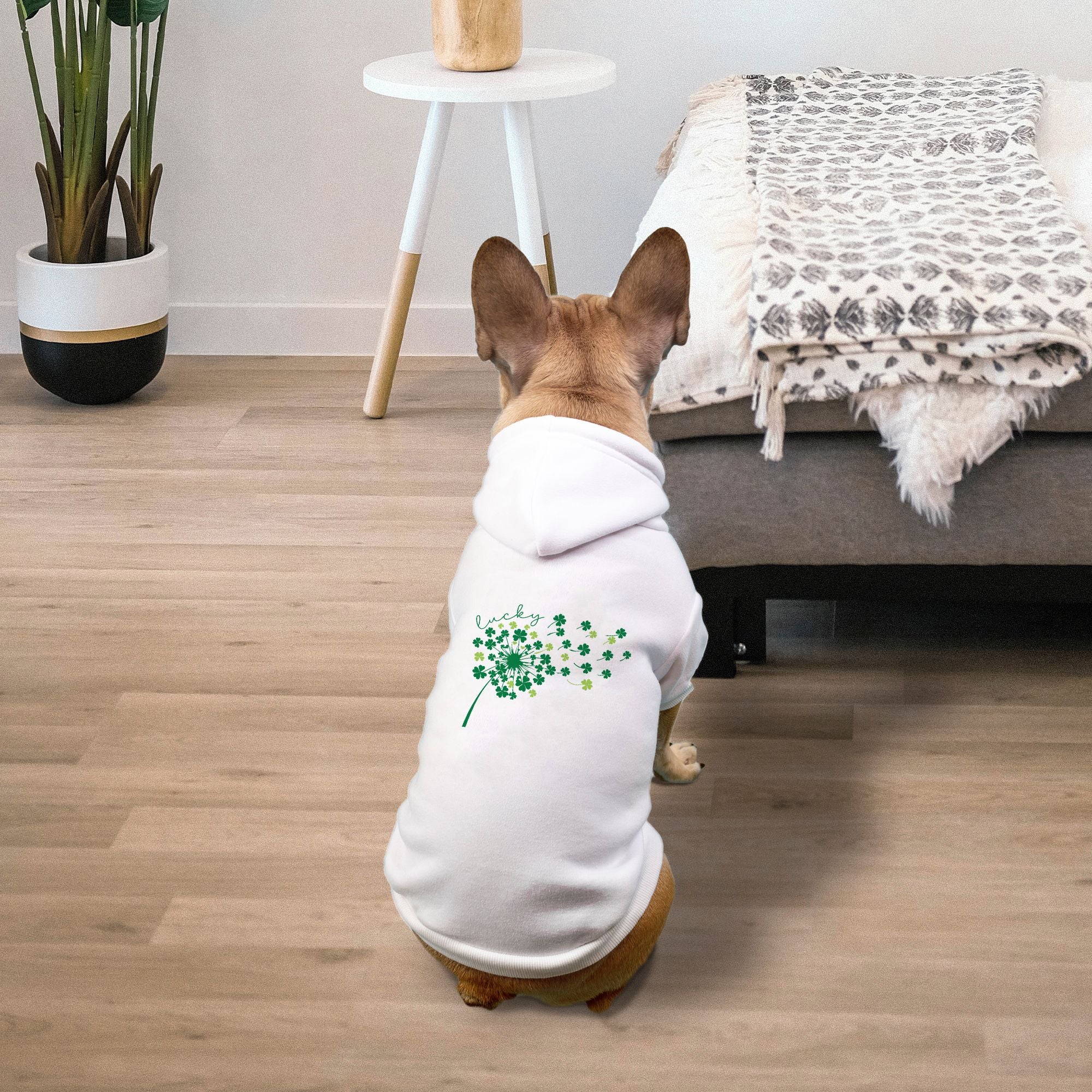 Lucky Dandelion Pet Hoodie -  Small Breed