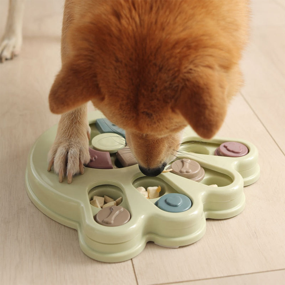 Play and Eat Puzzle Slow Feeder